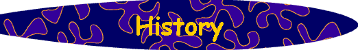  History 